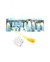 Картинка к книге Липуня - 3D Закладка "Пингвины" (BkH006)