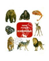 Картинка к книге ИД Мещерякова - Такие разные животные
