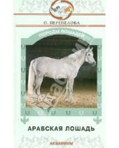 Картинка к книге Валентиновна Ольга Перепелова - Арабская лошадь