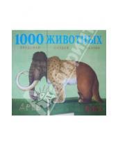 Картинка к книге Сара Балл - 1000 древних животных. Придумай, создай, назови