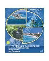 Картинка к книге Discovery HD - Туристические жемчужины: Бора Бора, сафари к горными гориллам, природные пляжи (Blu-Ray)