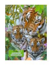 Картинка к книге Дневник школьный - Дневник школьный для 1-4 классов "Тигры" (28179)