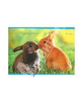 Картинка к книге Альбомы - Альбом для рисования. 24 листа. Милые кролики (А24892)