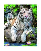 Картинка к книге Феникс+ - Дневник школьный универсальный "Белые тигры" (28281)