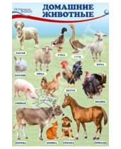 Картинка к книге Познавательные мини-плакаты - Комплект познавательных мини-плакатов "Домашние, лесные животные, фрукты и ягоды, овощи"