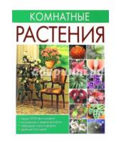 Картинка к книге Владимировна Ольга Сладкова - Комнатные растения