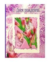 Картинка к книге Стезя - 3Т-345/День рождения/открытка двойная