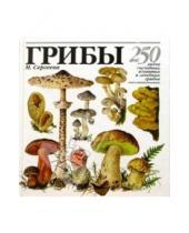 Картинка к книге Мария Сергеева - ГРИБЫ. 250 видов съедобных, ядовитых и лечебных грибов