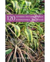 Картинка к книге Борис Головкин - 120 лучших пестролистных комнатных растений