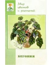 Картинка к книге Григорьевна Елена Жадько - Бегония (Begonia). Семейство - бегониевые