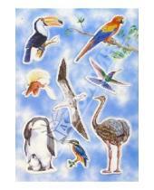 Картинка к книге Развивающая мозаика - Игра "Птицы". Развивающие рамки