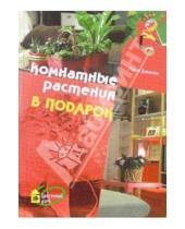 Картинка к книге Мария Данилова - Комнатные растения в подарок