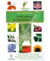 Картинка к книге Анатольевна Нина Башкирцева - Березовый и чайный гриб